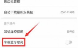 車載藍(lán)牙顯示歌詞（網(wǎng)易音樂車載藍(lán)牙顯示歌詞）