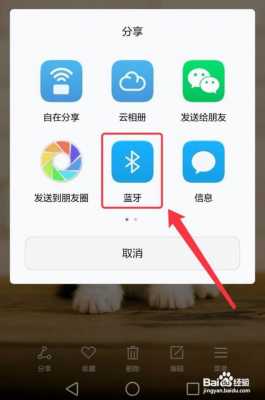 藍(lán)牙圖片能互發(fā)嗎嗎（藍(lán)牙能傳圖片么）-圖2
